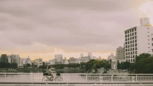 Hiroshima &amp; Miyajima Guide: A Journey Through History and Culture