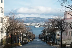 The Essential Hokkaido Travel Guide: Nature, Food, and Adventure