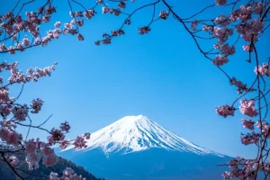 What to Pack for Japan in April 2026: Spring Weather Essentials
