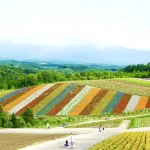 Experience Hokkaido: Top Things To Do In Japan’s Untamed North