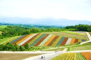 Experience Hokkaido: Top Things To Do In Japan’s Untamed North