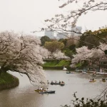 Experience Kyoto’s Historic Aoi Matsuri in May 2026