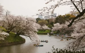 Experience Kyoto’s Historic Aoi Matsuri in May 2026