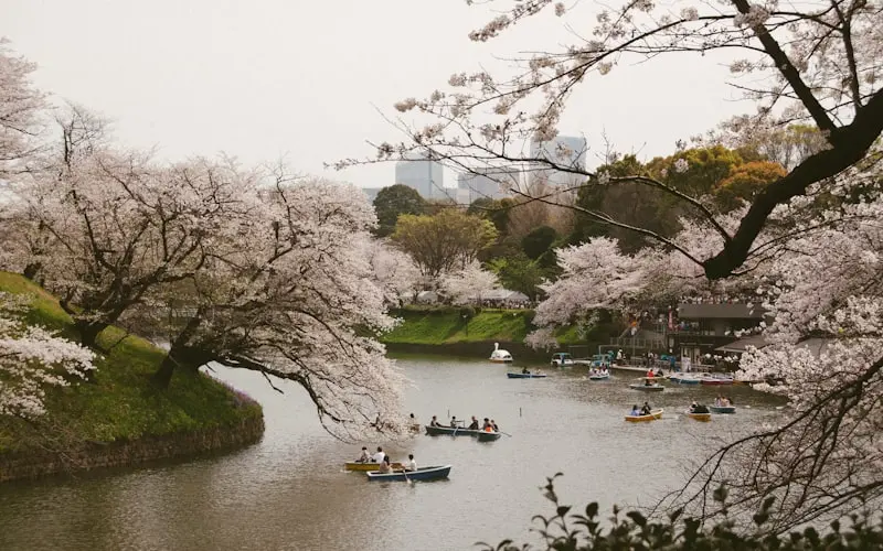 Experience Kyoto’s Historic Aoi Matsuri in May 2026