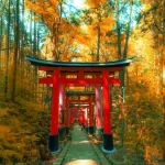 Hida Takayama: An Off-the-Beaten-Path Gem in Japan