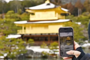 Japan SIM Card vs. eSIM: Which is Best for Your Trip?