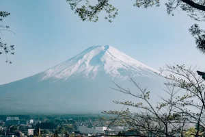 Kamakura Day Trip Guide: Ancient Temples and Coastal Charms