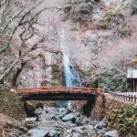 Kamakura’s Best Kept Secrets: From Zen Gardens to Ocean Views