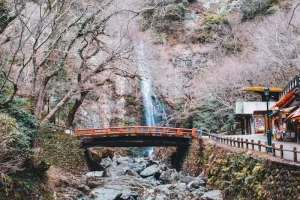 Kamakura’s Best Kept Secrets: From Zen Gardens to Ocean Views