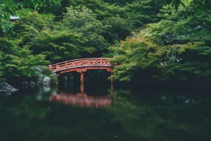 Nikko: Japan’s UNESCO World Heritage Gem Beyond Tokyo