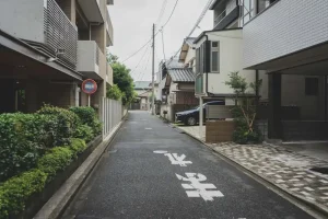 Shinjuku Travel Guide: Top Things to Do in Tokyo’s Busiest District