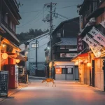 Uncovering Kamakura’s Secrets: Japan’s Former Capital Beyond the Buddha