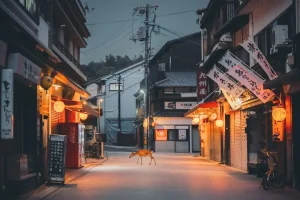 Uncovering Kamakura’s Secrets: Japan’s Former Capital Beyond the Buddha