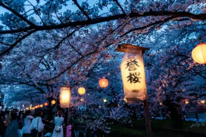 When is the Best Time to See Cherry Blossoms in Japan?