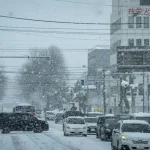 Best Time to Visit Hokkaido: A Seasonal Breakdown for Your Trip