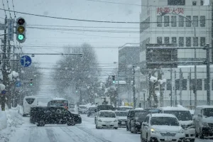 Best Time to Visit Hokkaido: A Seasonal Breakdown for Your Trip