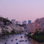 Fukuoka Foodie Guide: Why This Japanese City is a Culinary Hotspot