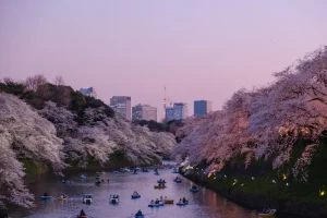 Fukuoka Foodie Guide: Why This Japanese City is a Culinary Hotspot