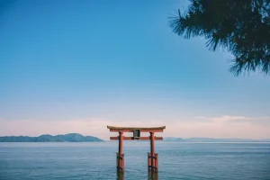 Japan in June 2026: Embrace the Rainy Season and Hydrangea Blooms