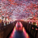 The Best Things to Do in Nagasaki: From Peace Park to European Gardens