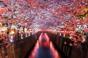 The Best Things to Do in Nagasaki: From Peace Park to European Gardens