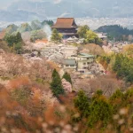 The Perfect One Day Nara Itinerary: See the Best of Nara