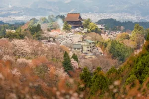 The Perfect One Day Nara Itinerary: See the Best of Nara