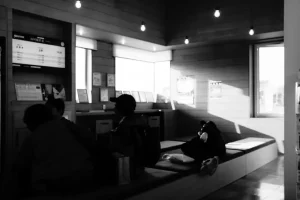 The Tokyo Digital Nomad Scene: Where to Work, Live, and Connect