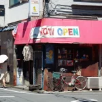 Beyond Tokyo: Exploring Japan’s Best Cities for Digital Nomads