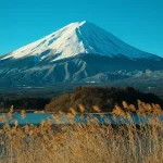 Fukuoka Food Guide: Eating Your Way Through Japan’s Culinary Capital