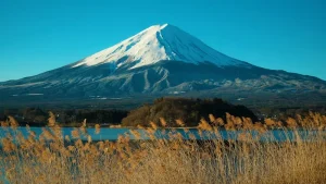 Fukuoka Food Guide: Eating Your Way Through Japan’s Culinary Capital