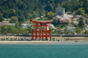 Hiroshima Travel Guide: Essential Tips for First-Time Visitors
