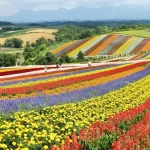 Hokkaido Travel Guide for First-Timers: Essential Tips &amp; Must-Knows