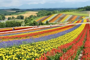 Hokkaido Travel Guide for First-Timers: Essential Tips &amp; Must-Knows