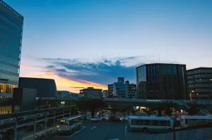 How to Get to Nara &amp; Get Around: Transportation Guide
