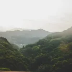 Is Kanazawa Worth Visiting? Beyond Kyoto’s Crowds, A Gold Leaf City Awaits