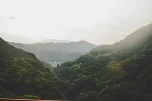 Is Kanazawa Worth Visiting? Beyond Kyoto’s Crowds, A Gold Leaf City Awaits