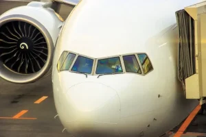 Japan Entry Requirements: Beyond the Visa Basics for Smooth Travel
