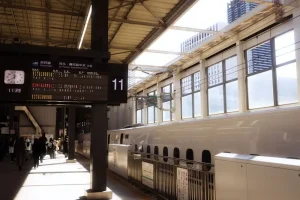 JR Pass vs. Individual Tickets: Which is Best for Your Itinerary?