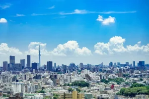 Navigating Tokyo’s Public Transport: A Stress-Free Guide for Tourists