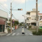 Okinawa Food Guide: Must-Try Dishes &amp; Best Restaurants on the Island