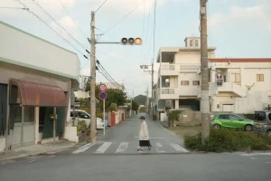 Okinawa Food Guide: Must-Try Dishes &amp; Best Restaurants on the Island