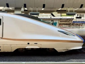 Osaka’s Public Transport: Mastering the Subway and Local Trains