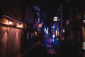 Things to Do in Nara at Night: Your Ultimate Guide Beyond the Temples