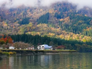 Why Fukuoka Should Be Your Next Japan City Break (Beyond the Usual Suspects)