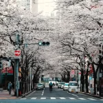 Your Guide to Enjoying Japan’s Early Summer Flavors in June 2026