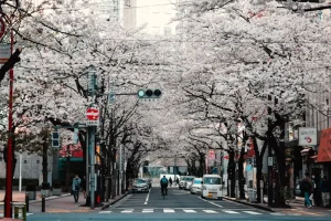 Your Guide to Enjoying Japan’s Early Summer Flavors in June 2026