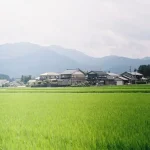 Beyond Tokyo: Why Kamakura is Your Next Coastal &amp; Cultural Escape