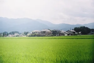 Beyond Tokyo: Why Kamakura is Your Next Coastal &amp; Cultural Escape