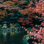 Hidden Gems in Nara: Discovering Nara Beyond the Main Attractions